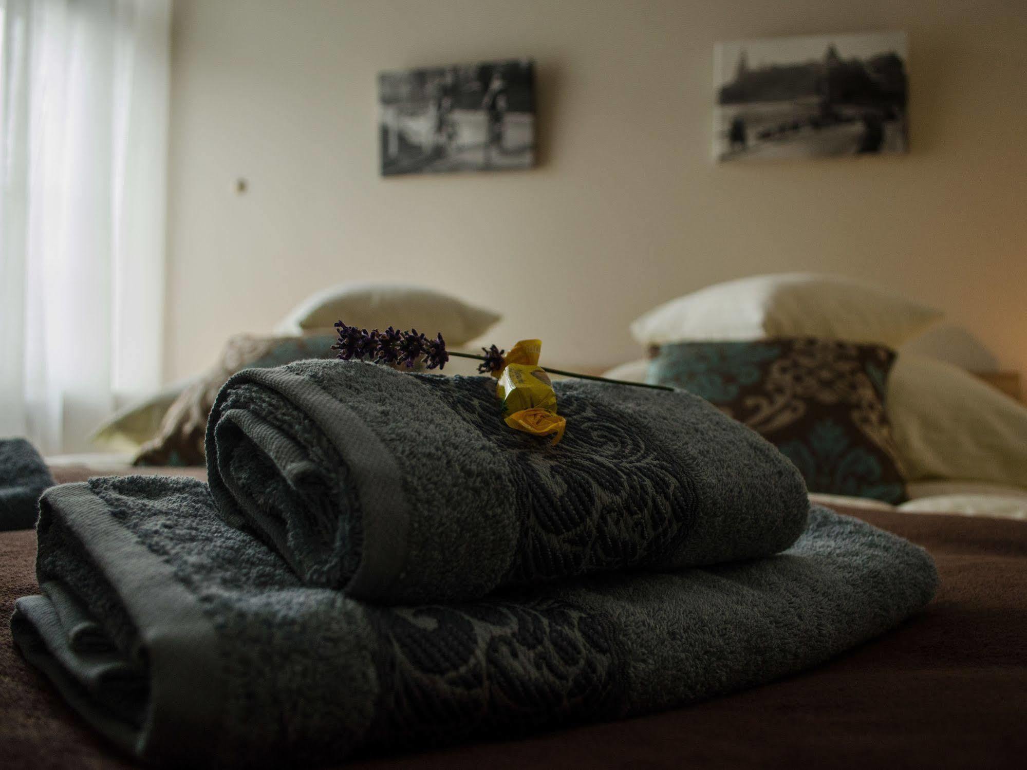 Royal Route 29 Comfort Rooms Krasków Eksteriør bilde